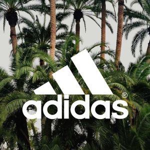 Meet your Posher, Natasha